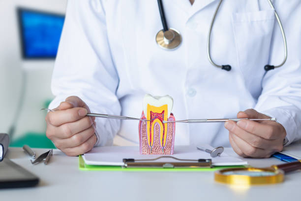 Best Mobile Emergency Dentist in Clarksville, TN